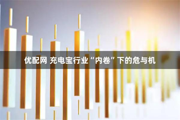 优配网 充电宝行业“内卷”下的危与机