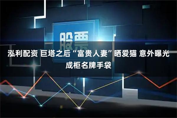 泓利配资 巨塔之后“富贵人妻”晒爱猫 意外曝光成柜名牌手袋